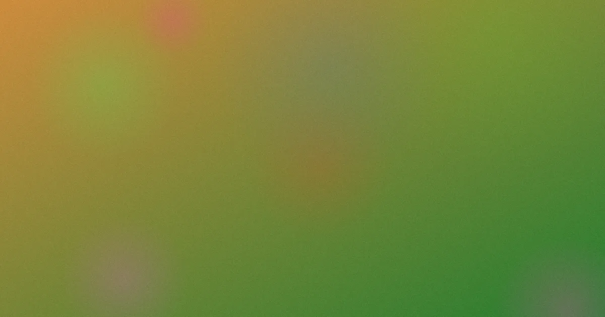 庭审现场测评：避坑流程版